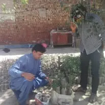 Green Seekers Activity